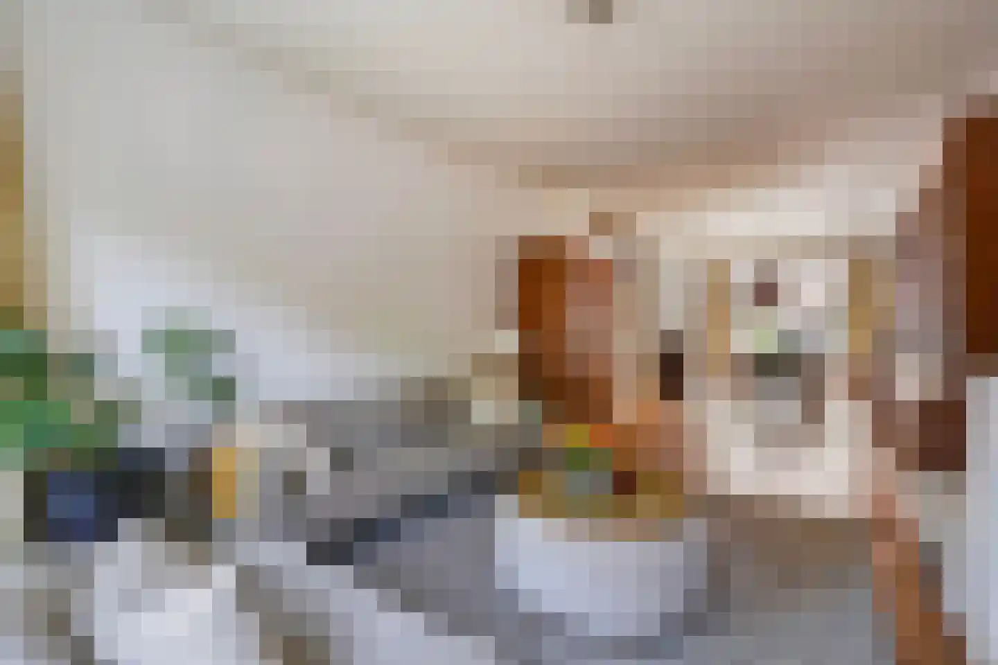 Azaleastraat 69 Den Haag thumbnail 9