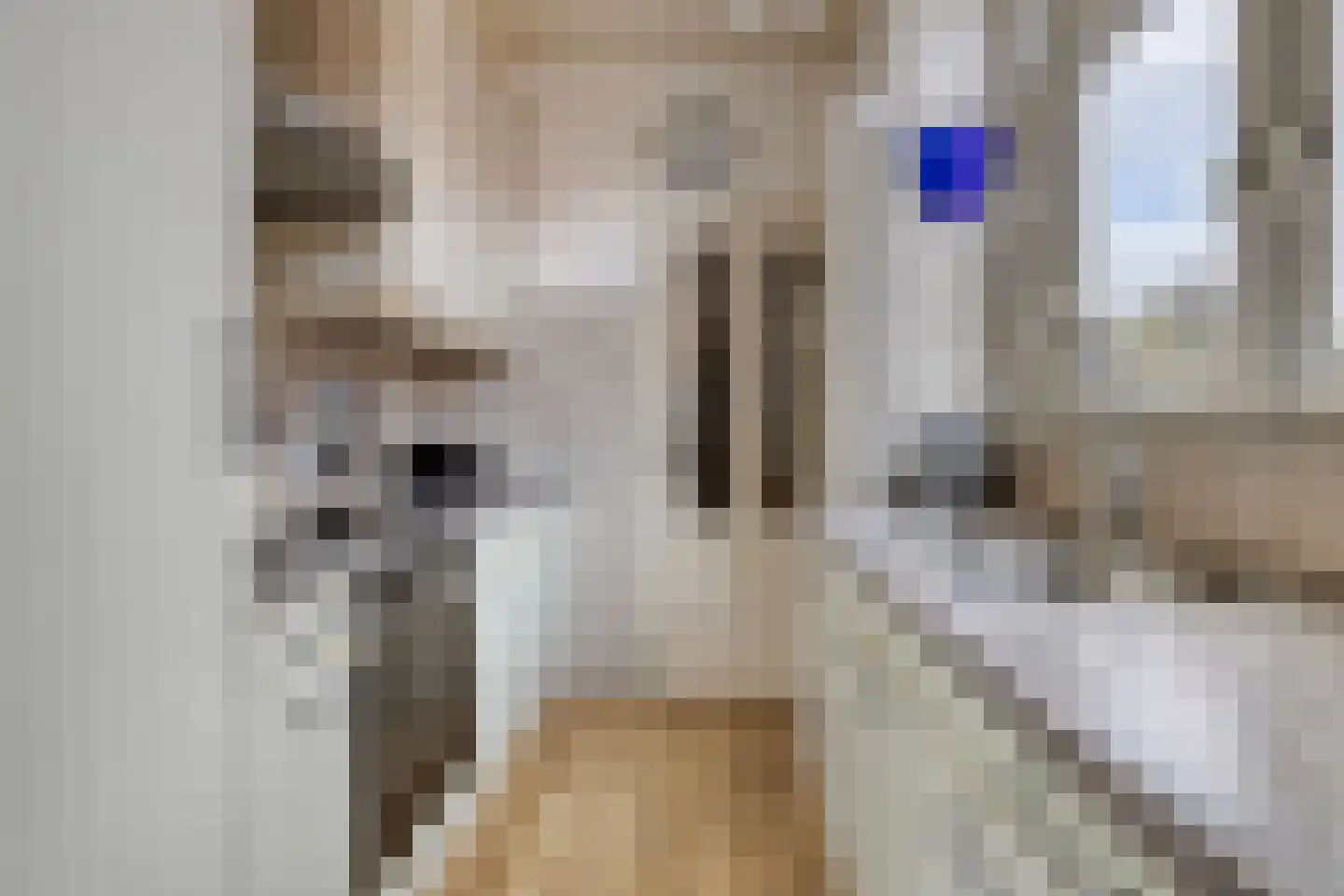 Azaleastraat 69 Leeuwarden thumbnail 11