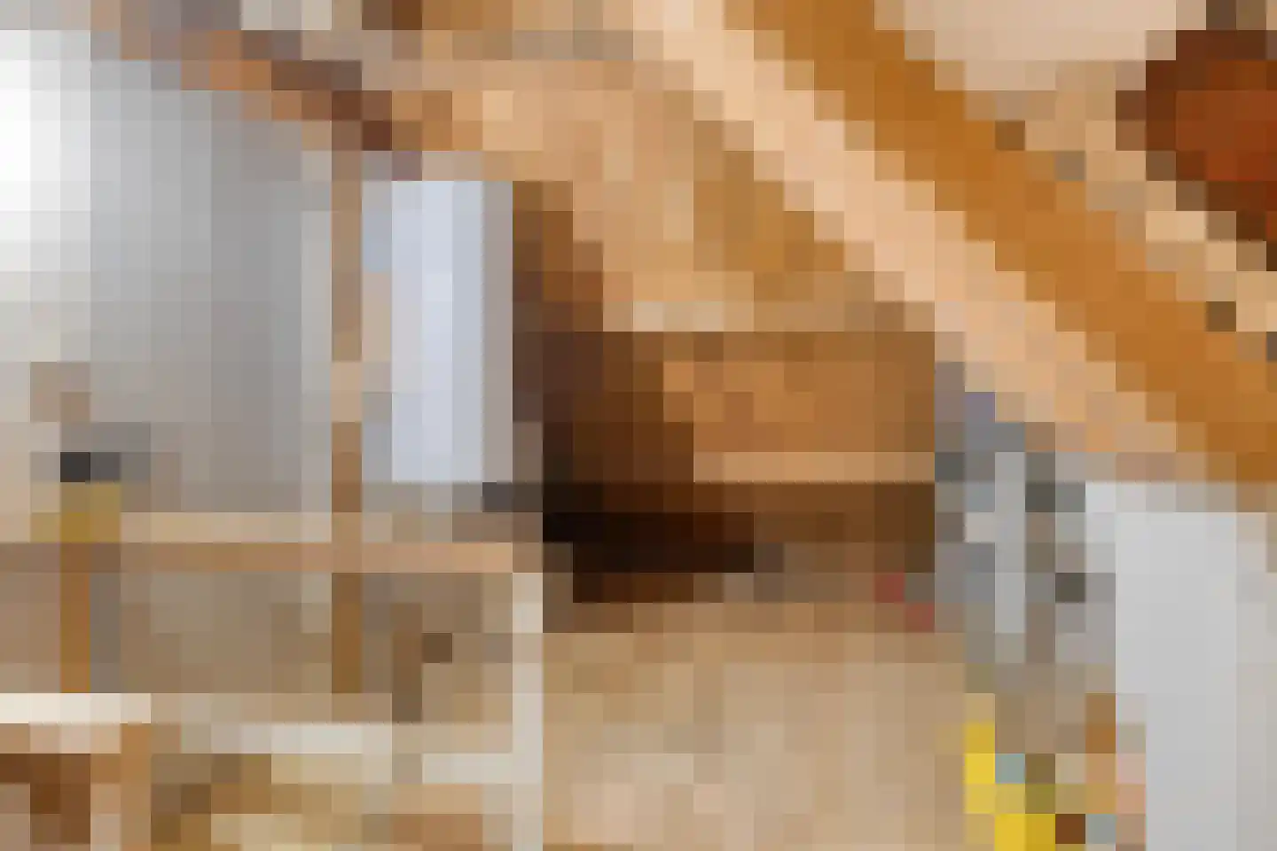 Azaleastraat 69 Leeuwarden thumbnail 26