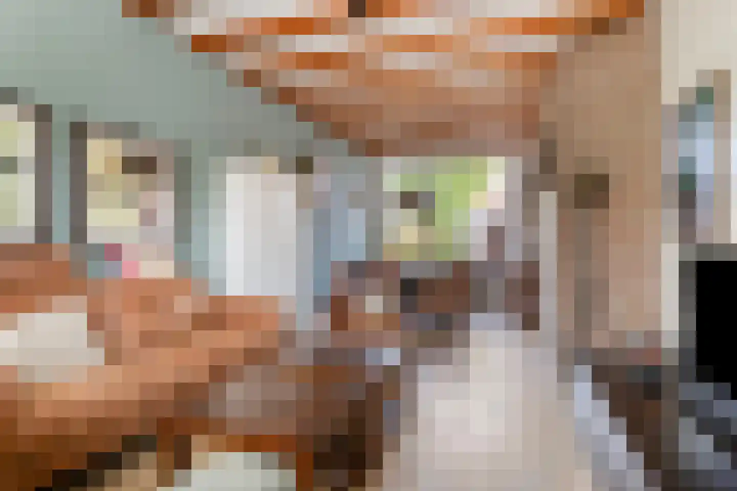 Azaleastraat 69 Leeuwarden thumbnail 8