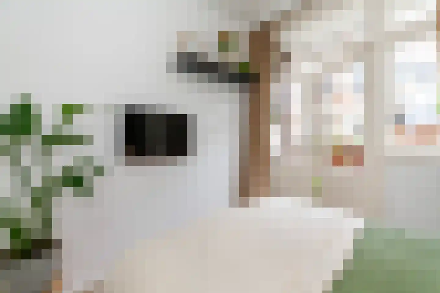 Azaleastraat 7 A Rotterdam thumbnail 19