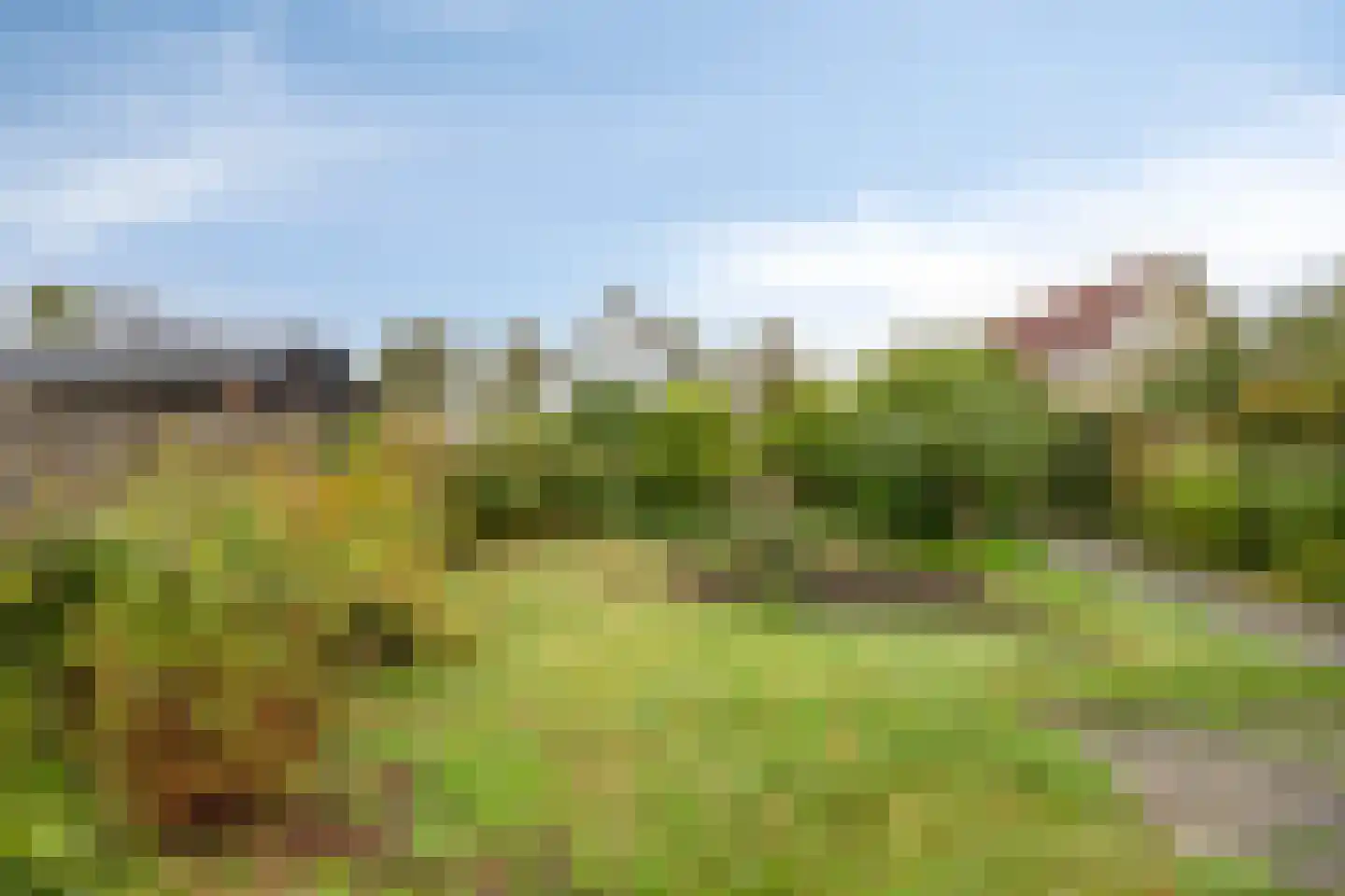 Azaleastraat 7 Wolvega thumbnail 25
