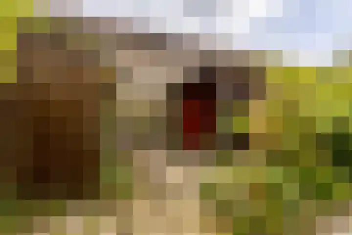Azaleastraat 72 A Rotterdam thumbnail 13