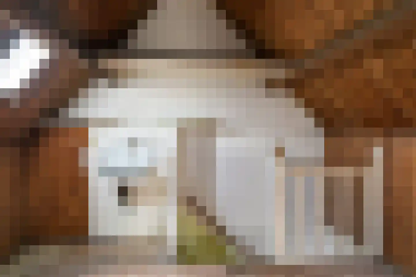 Azaleastraat 72 A Rotterdam thumbnail 27