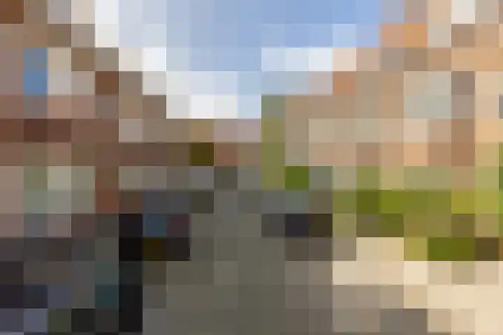 Azaleastraat 72 A Rotterdam thumbnail 5