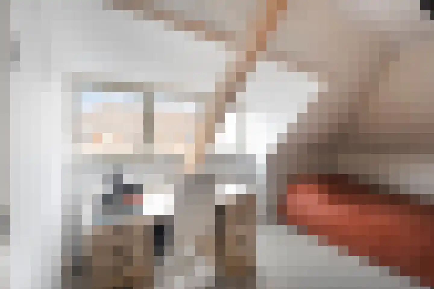 Azaleastraat 76 Amsterdam thumbnail 11