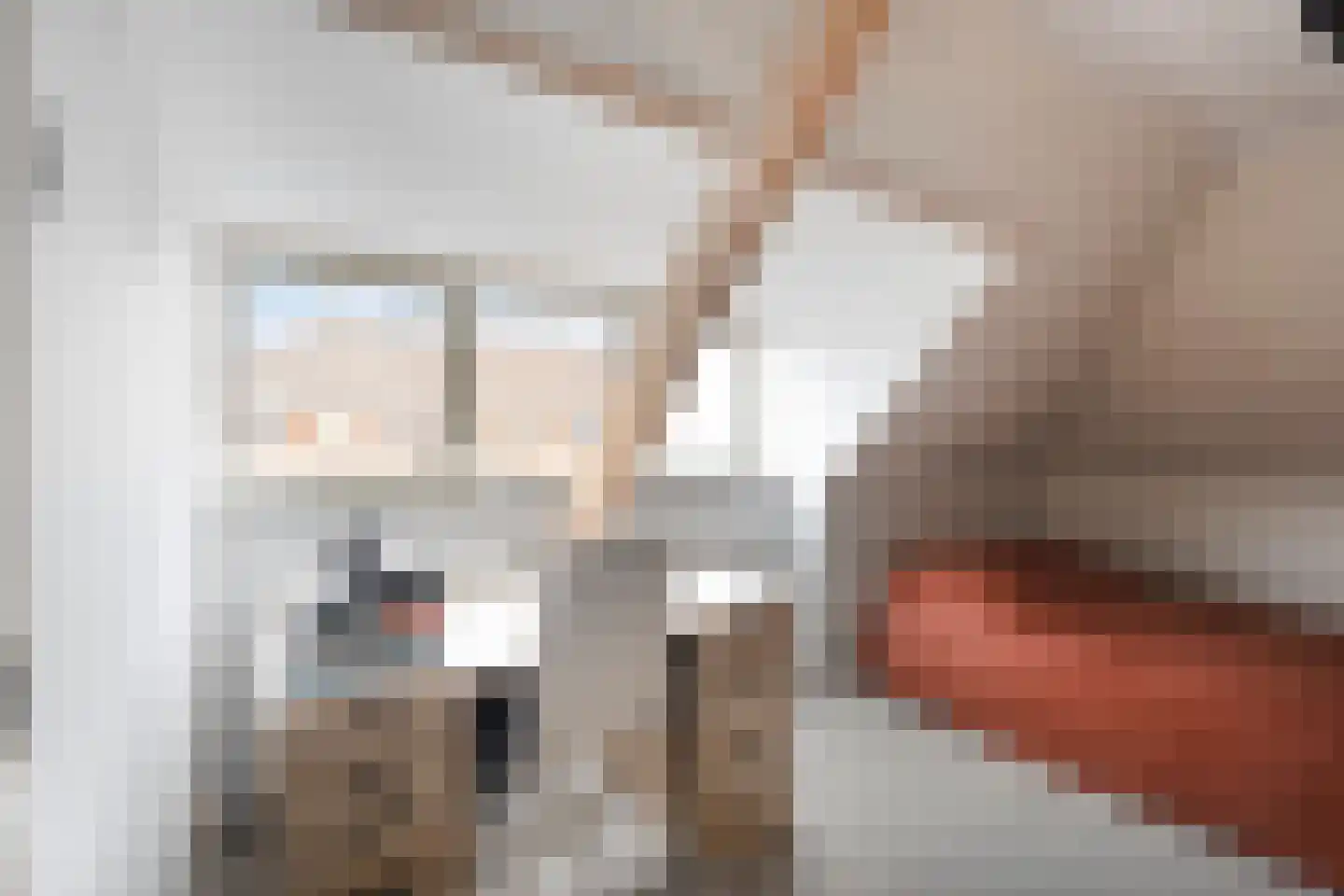 Azaleastraat 76 Amsterdam thumbnail 11