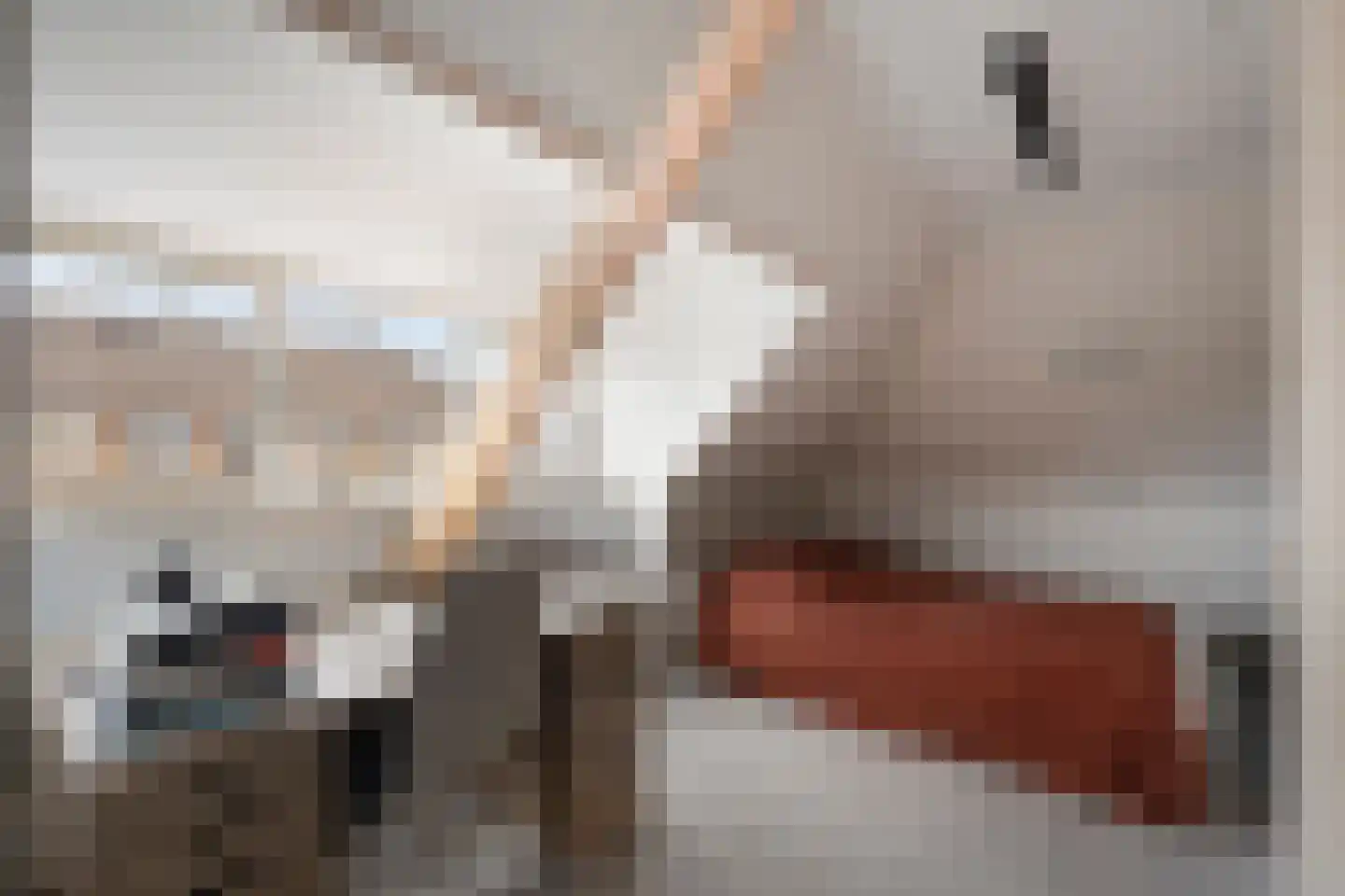 Azaleastraat 76 Amsterdam thumbnail 12