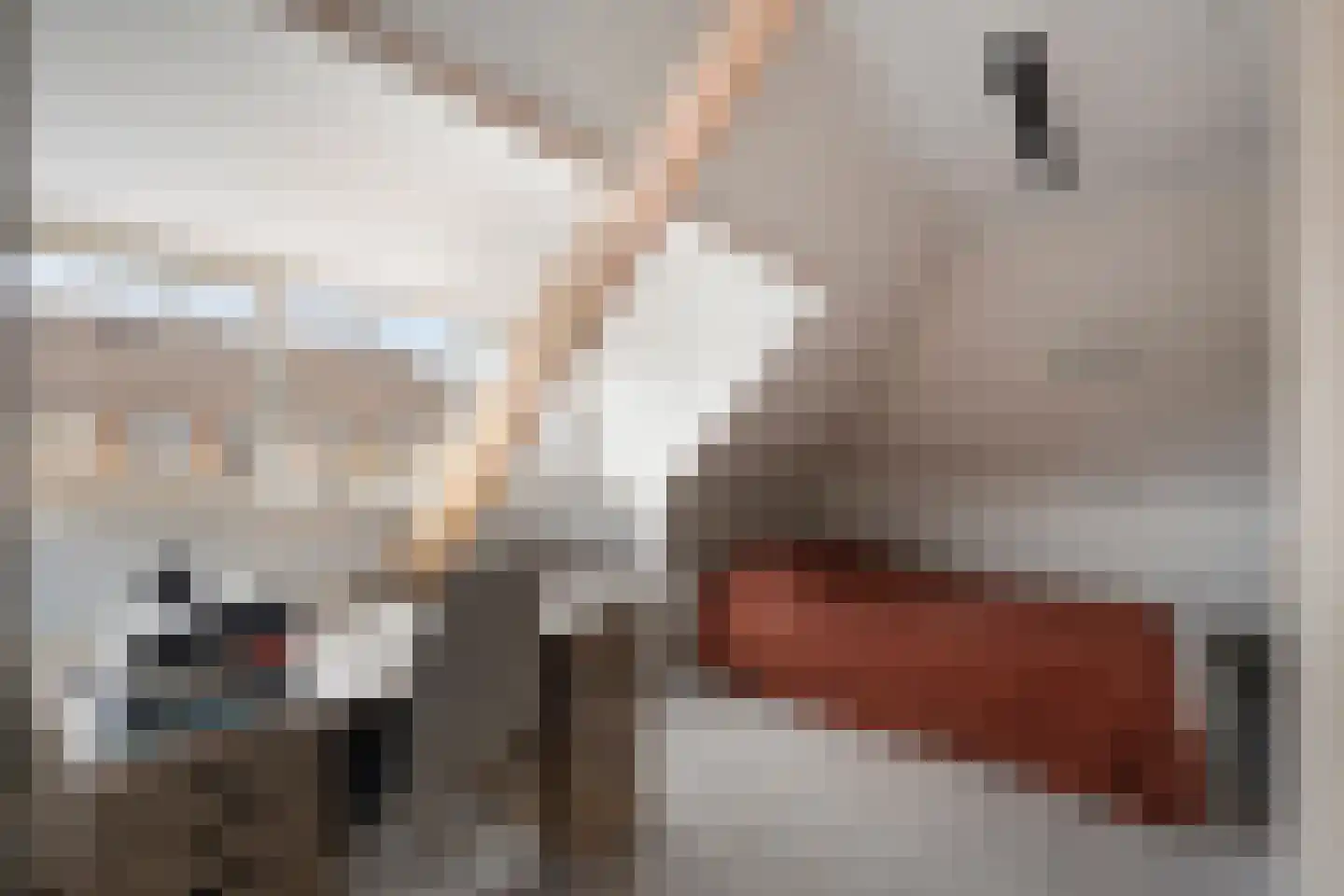 Azaleastraat 76 Amsterdam thumbnail 12