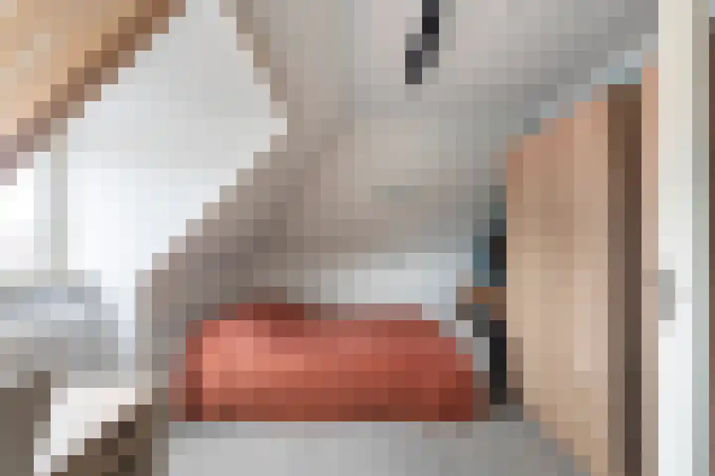 Azaleastraat 76 Amsterdam thumbnail 13