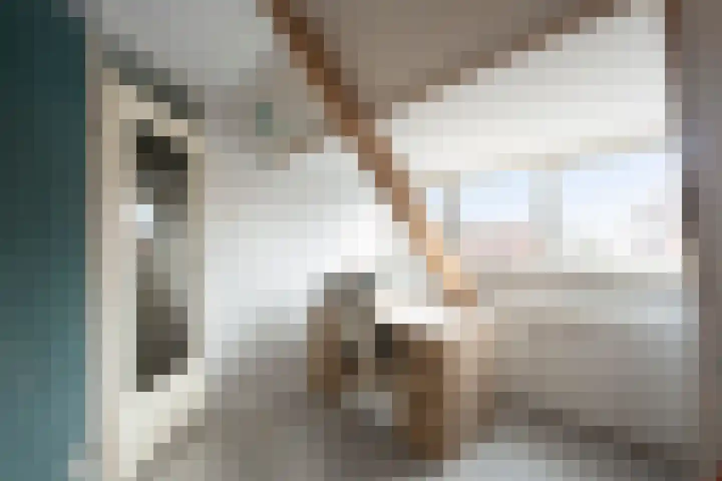 Azaleastraat 76 Amsterdam thumbnail 15