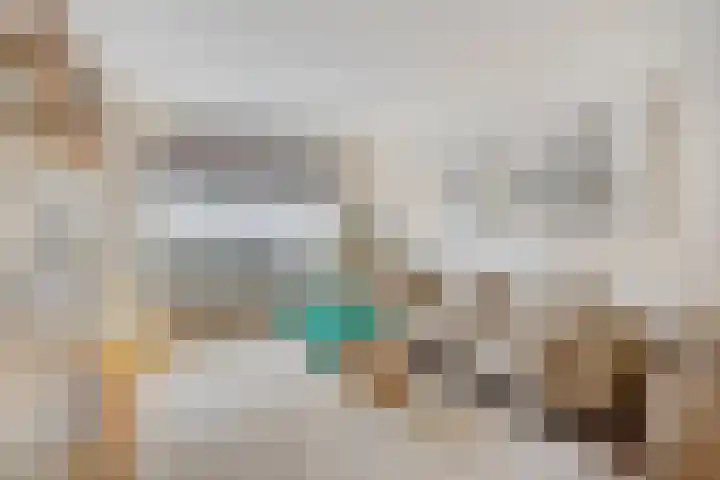 Azaleastraat 78 Den Haag thumbnail 10