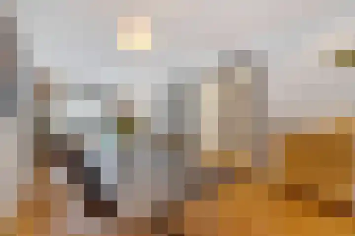 Azaleastraat 78 Den Haag thumbnail 11