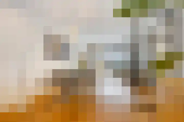Azaleastraat 78 Den Haag thumbnail 12