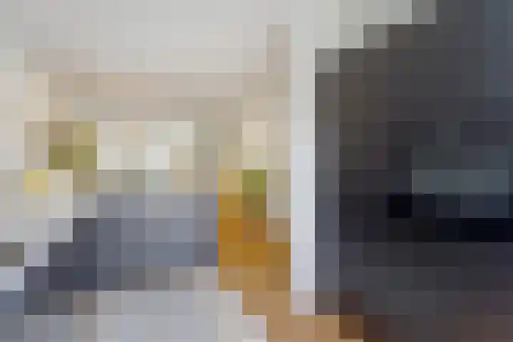 Azaleastraat 78 Den Haag thumbnail 17