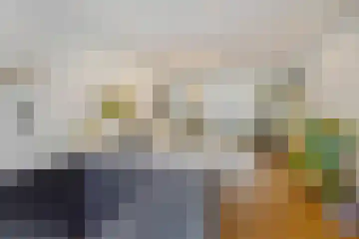 Azaleastraat 78 Den Haag thumbnail 18