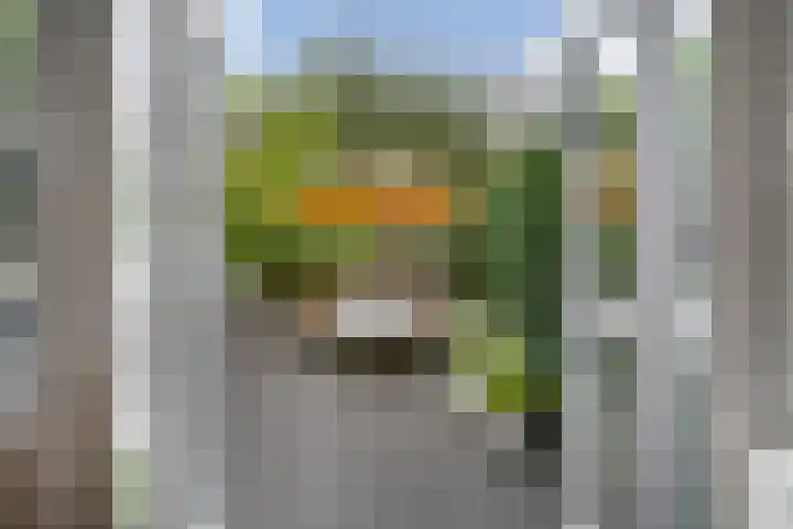 Azaleastraat 78 Den Haag thumbnail 20
