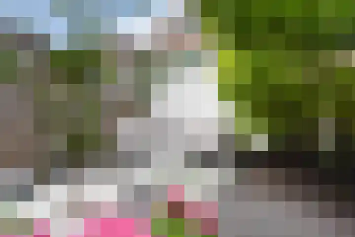 Azaleastraat 78 Den Haag thumbnail 21