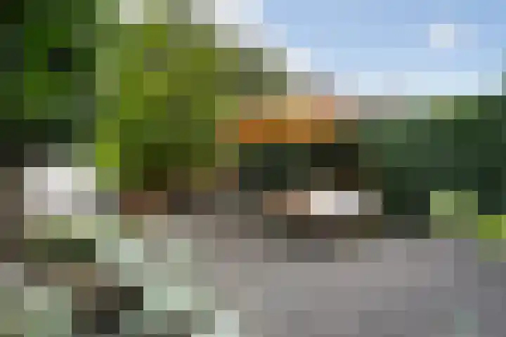 Azaleastraat 78 Den Haag thumbnail 22