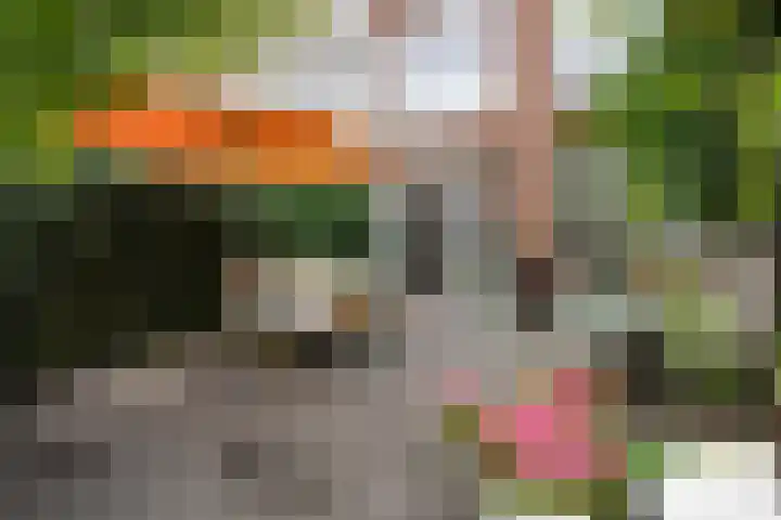 Azaleastraat 78 Den Haag thumbnail 23