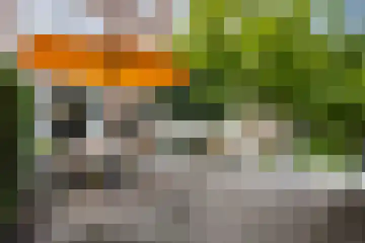 Azaleastraat 78 Den Haag thumbnail 24