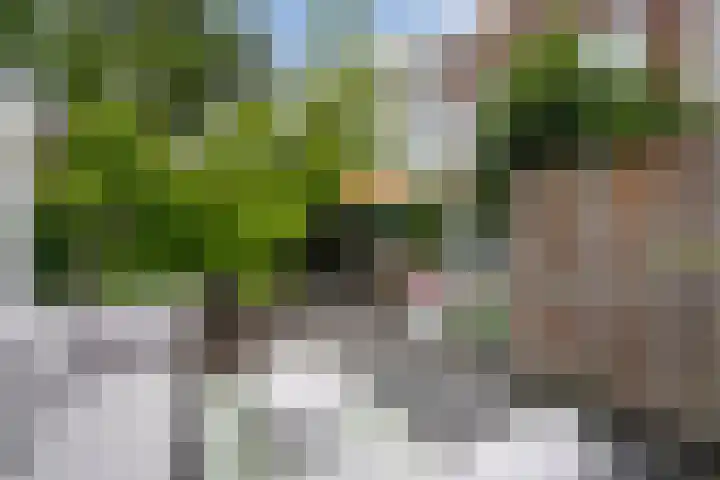 Azaleastraat 78 Den Haag thumbnail 26