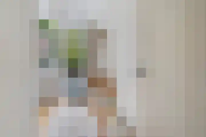 Azaleastraat 78 Den Haag thumbnail 27