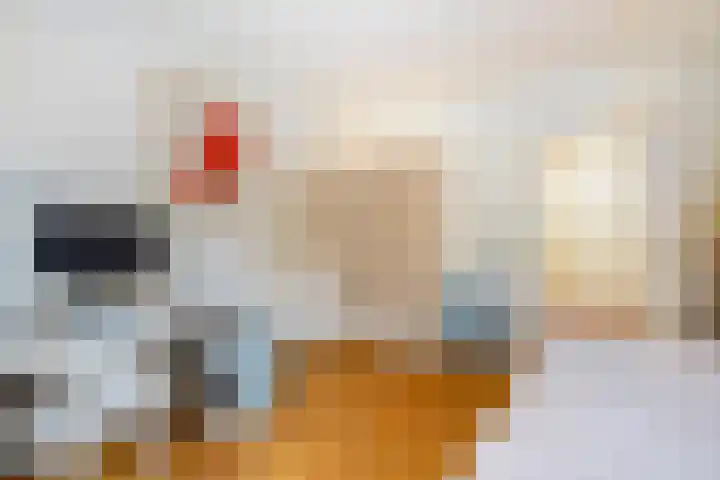 Azaleastraat 78 Den Haag thumbnail 39