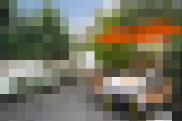 Azaleastraat 78 Den Haag thumbnail 4