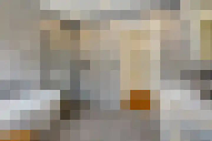 Azaleastraat 78 Den Haag thumbnail 43