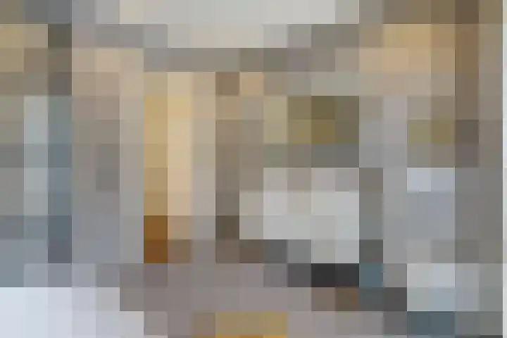 Azaleastraat 78 Den Haag thumbnail 44