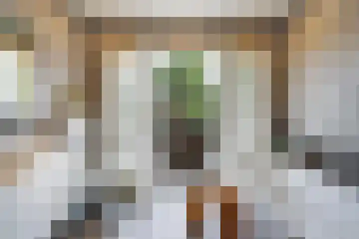 Azaleastraat 78 Den Haag thumbnail 45