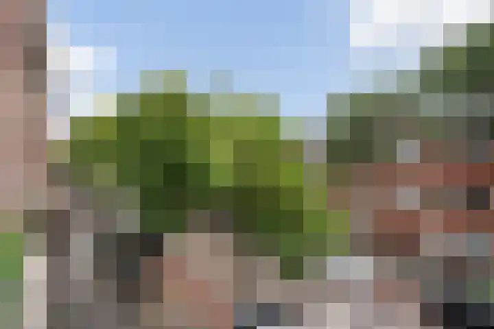 Azaleastraat 78 Den Haag thumbnail 48