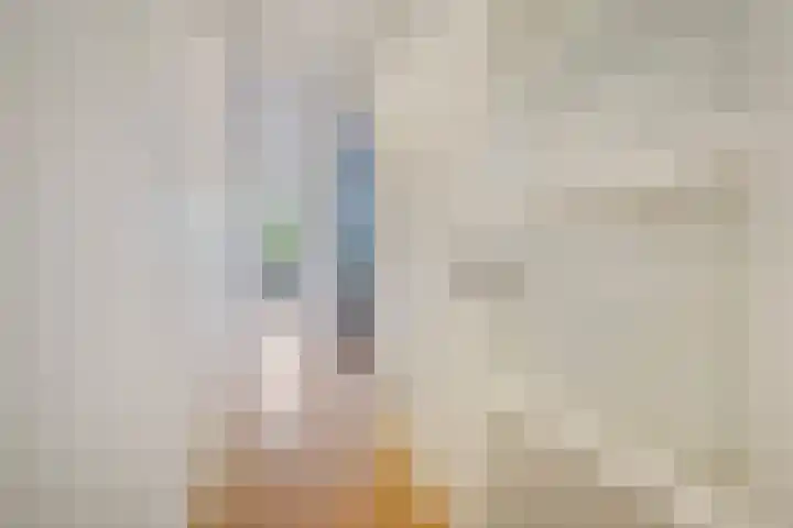 Azaleastraat 78 Den Haag thumbnail 6