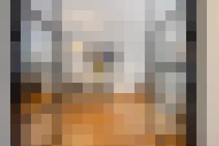 Azaleastraat 78 Den Haag thumbnail 7