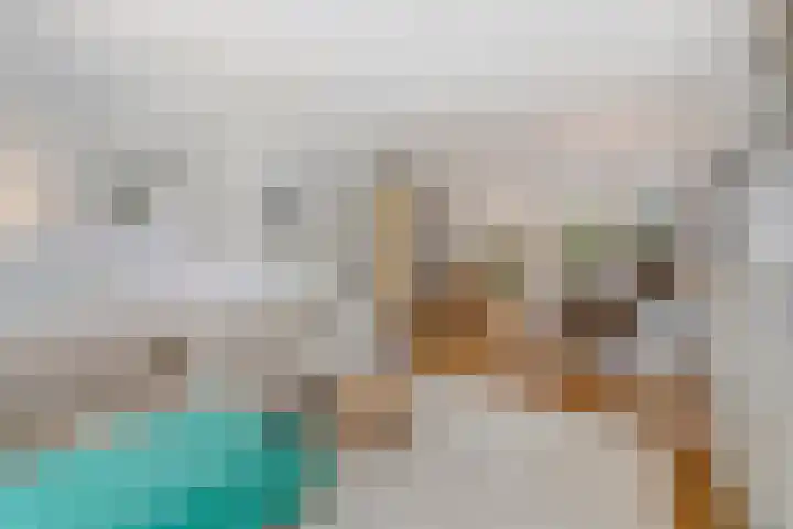 Azaleastraat 78 Den Haag thumbnail 9