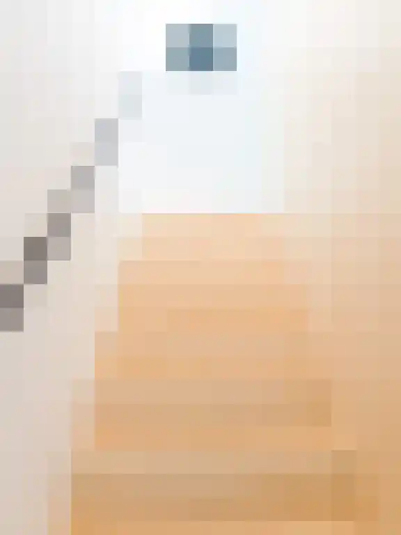 Azaleastraat 8 Amsterdam thumbnail 6