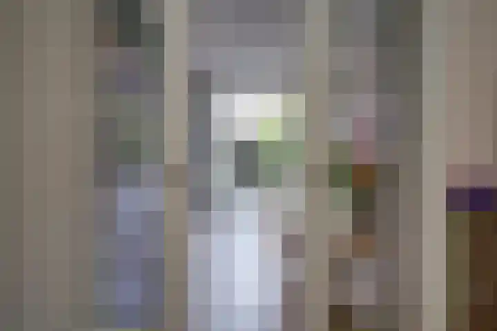 Azaleastraat 8 Utrecht thumbnail 11