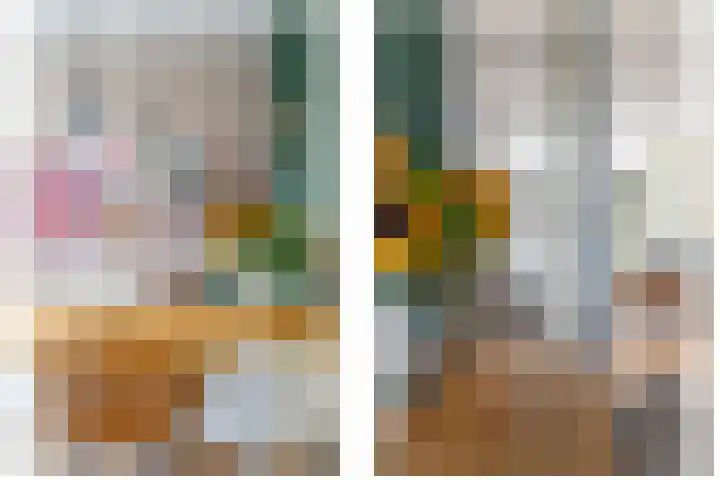 Azaleastraat 8 Utrecht thumbnail 12
