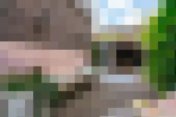 Azaleastraat 8 Utrecht thumbnail 22