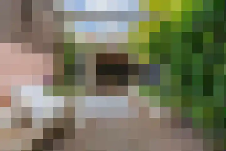 Azaleastraat 8 Utrecht thumbnail 23