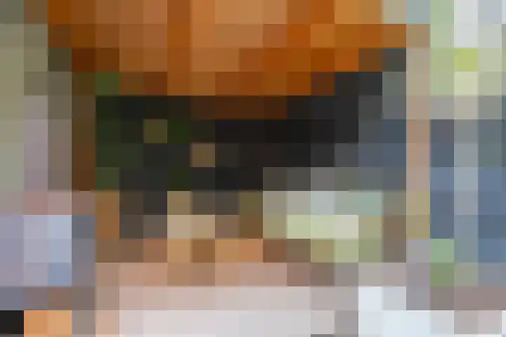 Azaleastraat 8 Utrecht thumbnail 24