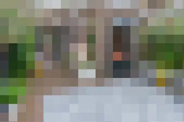 Azaleastraat 8 Utrecht thumbnail 25