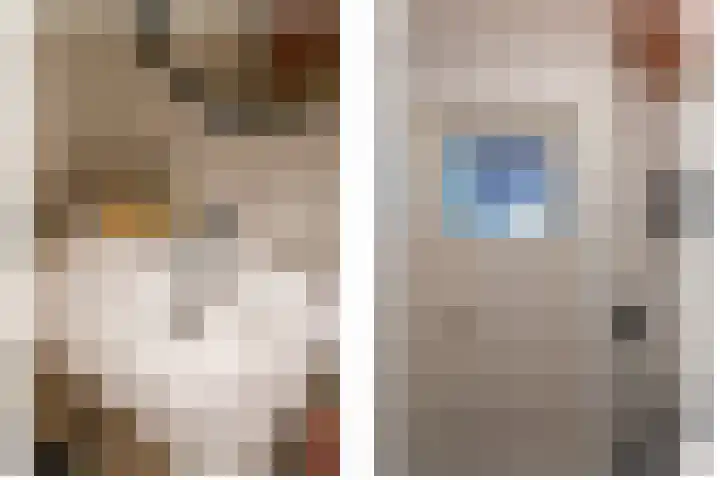 Azaleastraat 8 Utrecht thumbnail 29