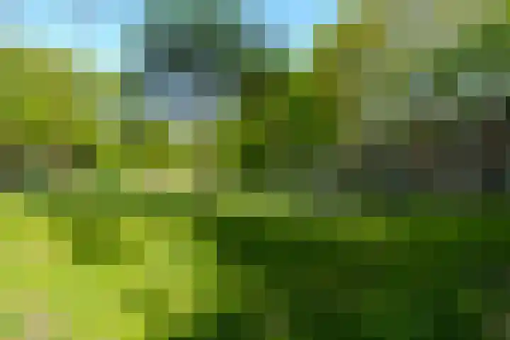 Azaleastraat 8 Utrecht thumbnail 30
