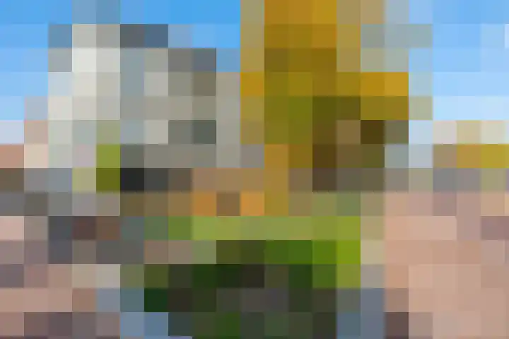 Azaleastraat 8 Utrecht thumbnail 33