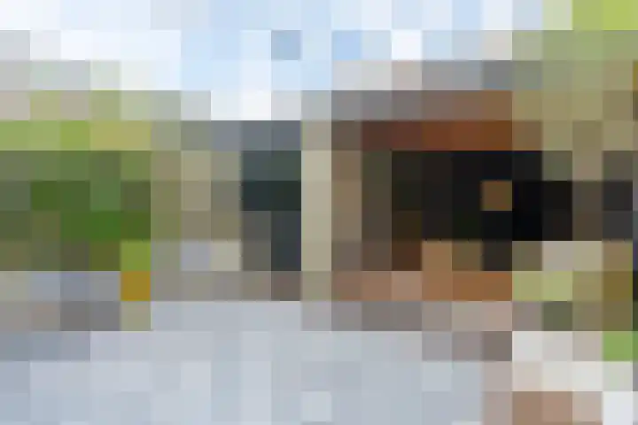 Azaleastraat 8 Utrecht thumbnail 4