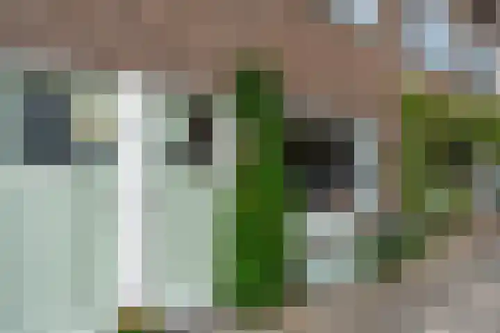 Azaleastraat 8 Utrecht thumbnail 5