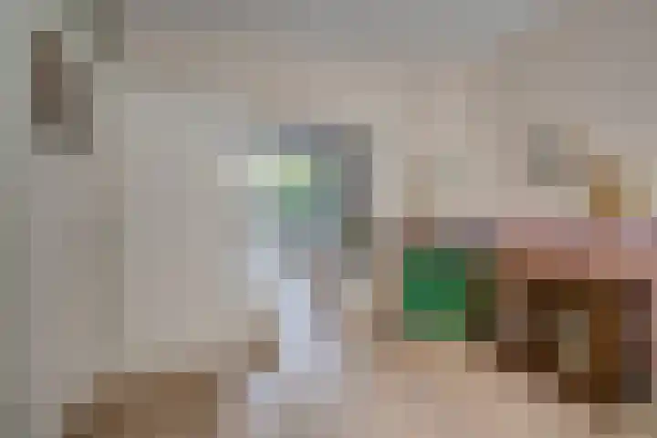 Azaleastraat 8 Utrecht thumbnail 9