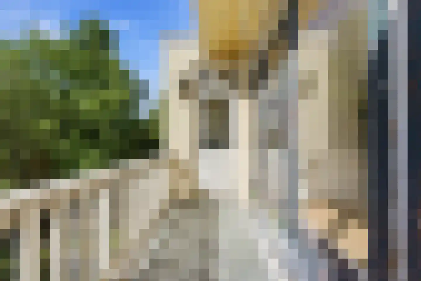 Azaleastraat 82 B Rotterdam thumbnail 18